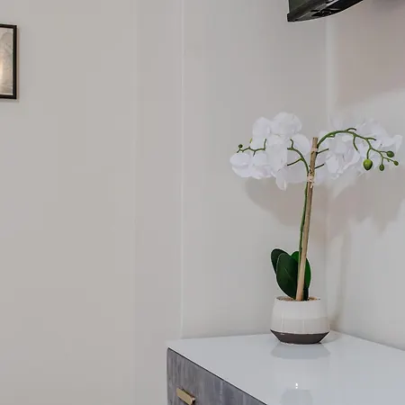 Guesthost - L'angulin & Roomy In Турин