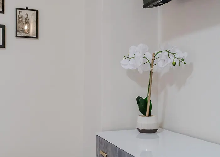 Guesthost - L'angulin & Roomy In Torino