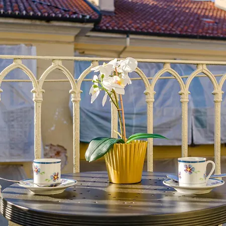 Guesthost - L'angulin & Roomy In شقة *